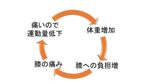 体重と痛みの悪循環